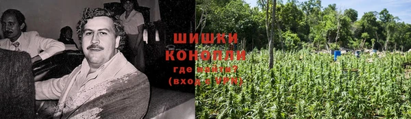 винт Няндома