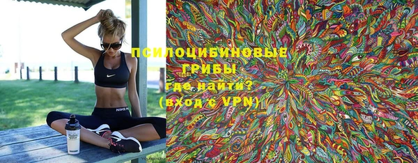 винт Няндома