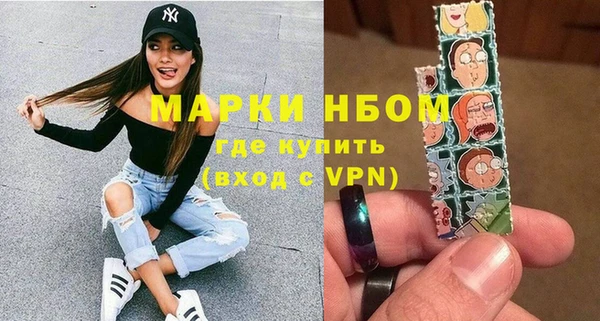 винт Няндома