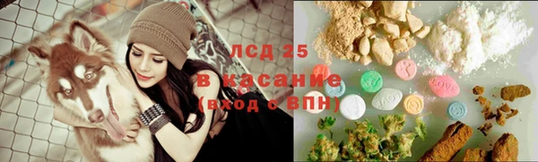 винт Няндома