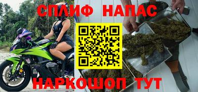 гашик Ипатово