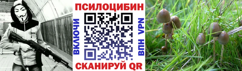 Галлюциногенные грибы прущие грибы  Переславль-Залесский 